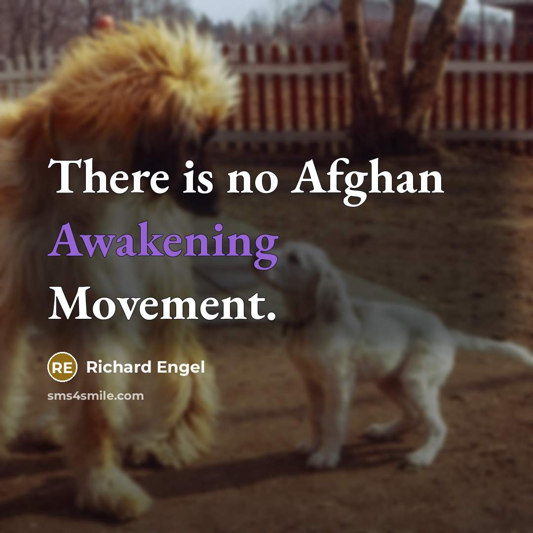 “There is no Afghan Awakening Movement.…” quote by Richard Engel