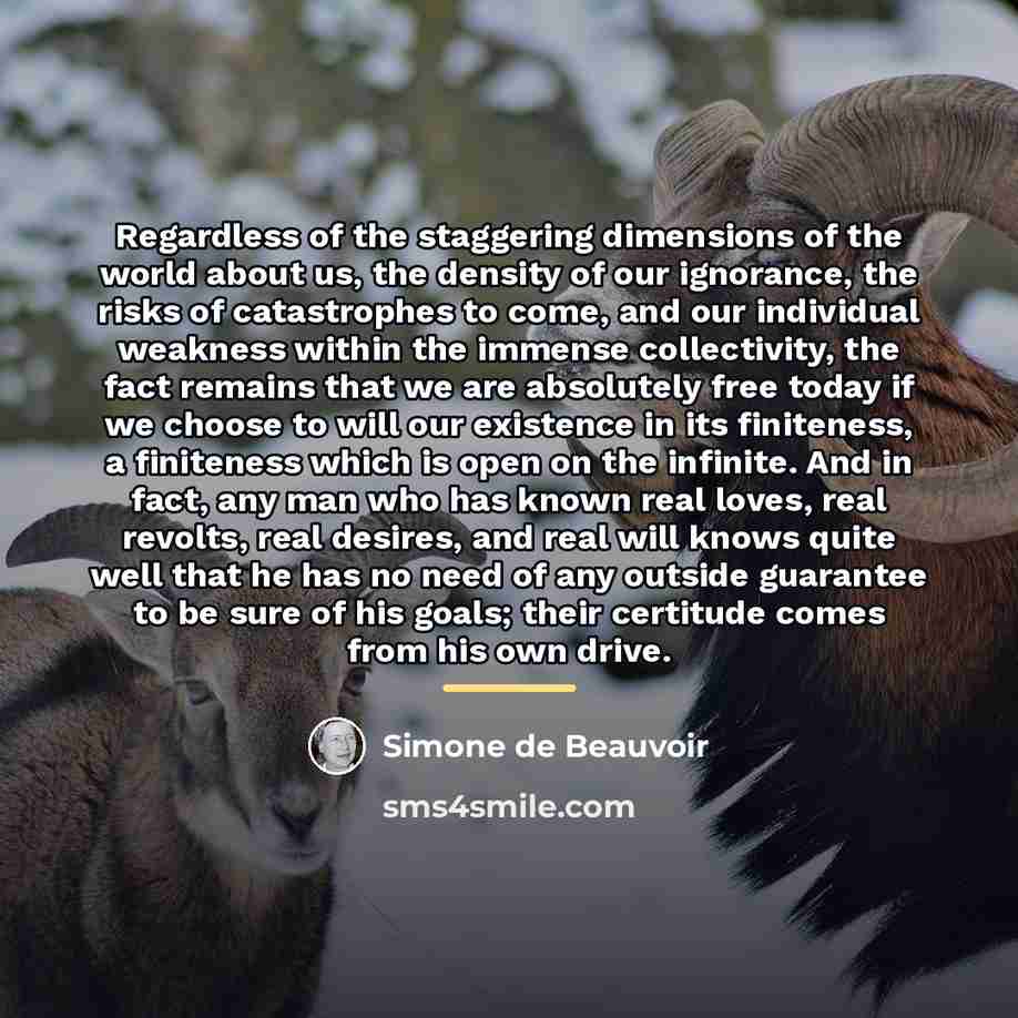 “Regardless of the staggering dimensions of the world about us,…” quote by Simone de Beauvoir
