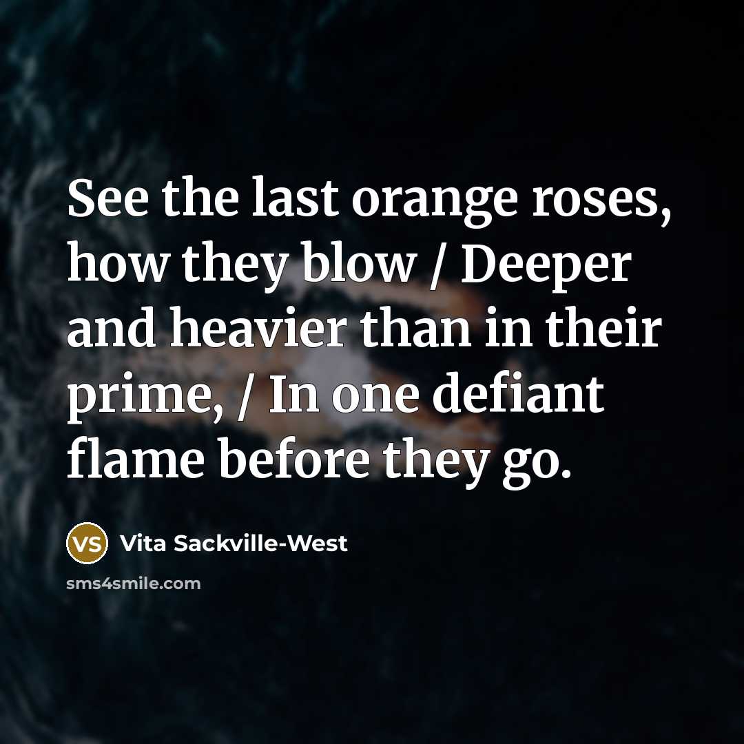 “See the last orange roses, how they blow / Deeper…” quote by Vita Sackville-West