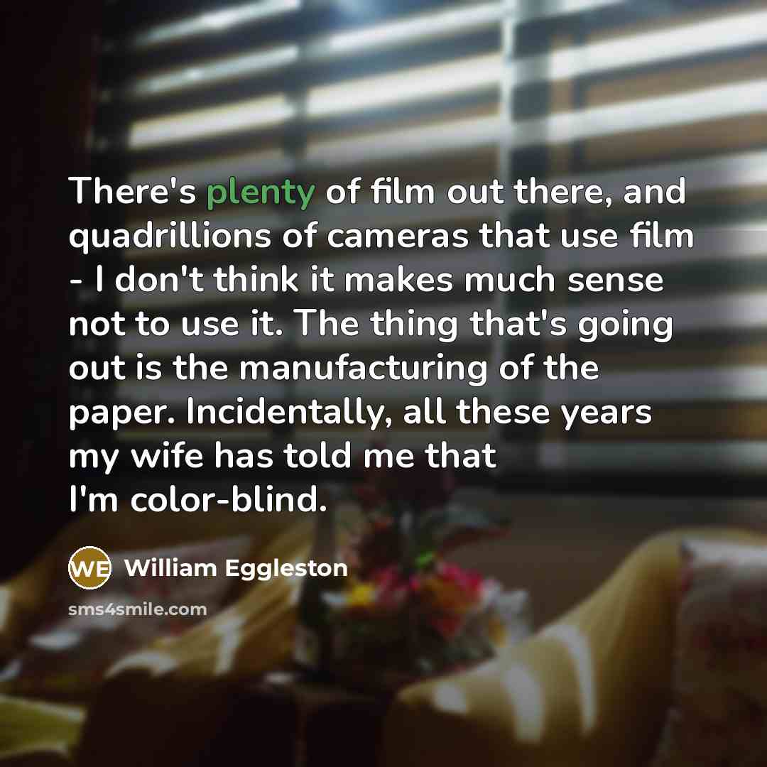 “There's plenty of film out there, and quadrillions of cameras…” quote by William Eggleston