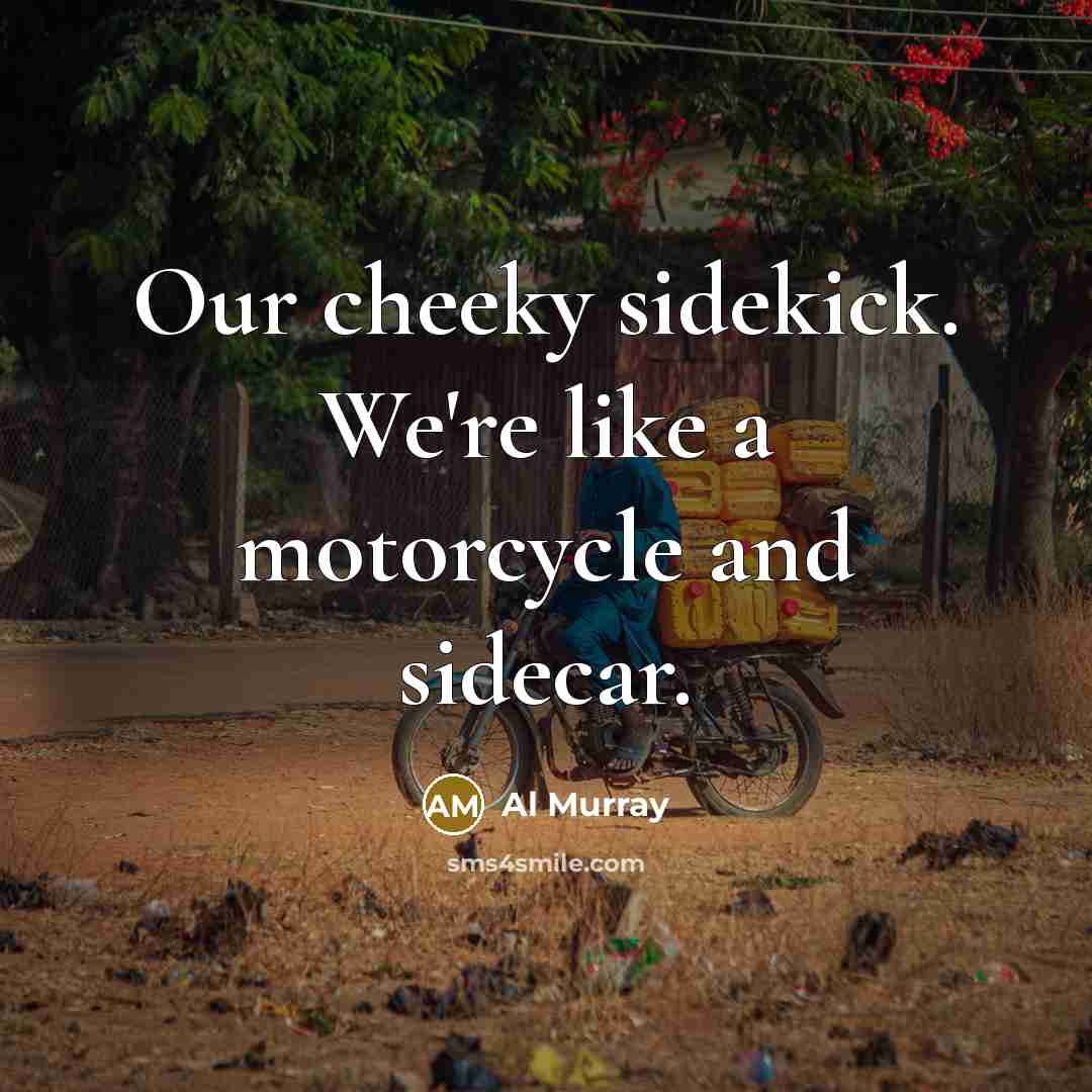 “Our cheeky sidekick. We're like a motorcycle and sidecar.…” quote by Al Murray