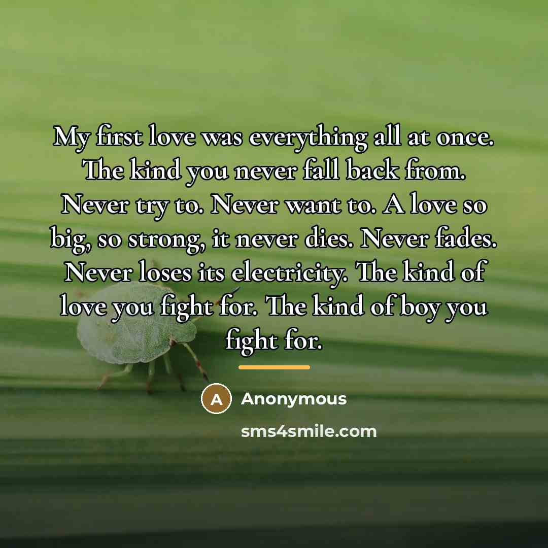 “My first love was everything all at once. The kind…” quote by Anonymous
