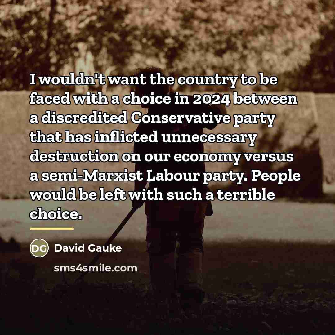 “I wouldn't want the country to be faced with a…” quote by David Gauke