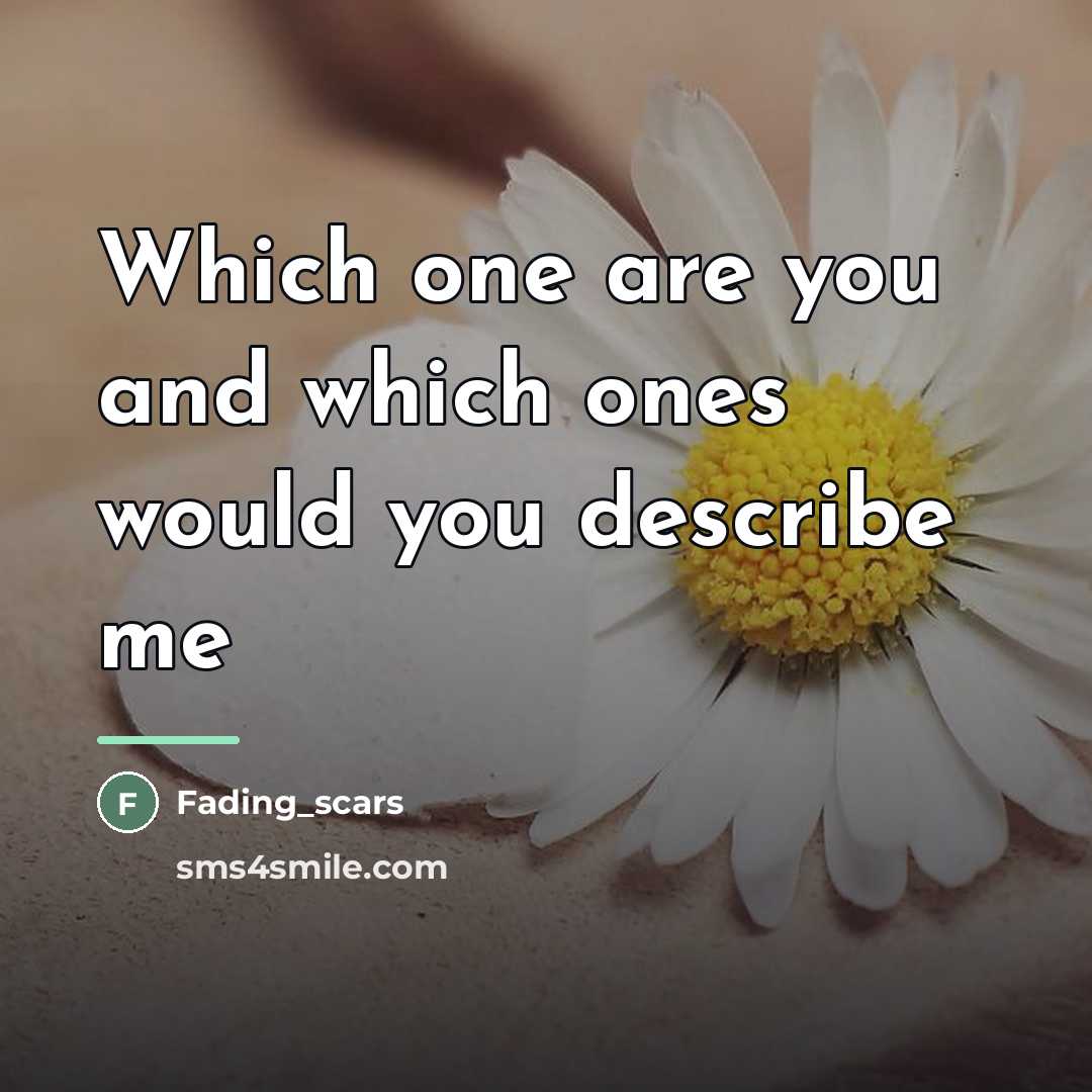 “Which one are you and which ones would you describe…” quote by Fading_scars