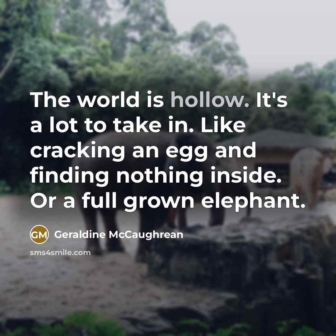 “The world is hollow. It's a lot to take in.…” quote by Geraldine McCaughrean