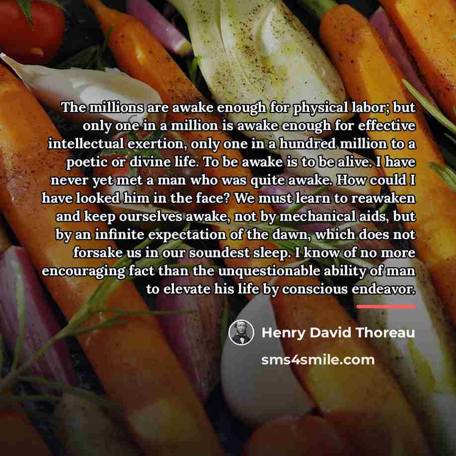 “The millions are awake enough for physical labor; but only…” quote by Henry David Thoreau