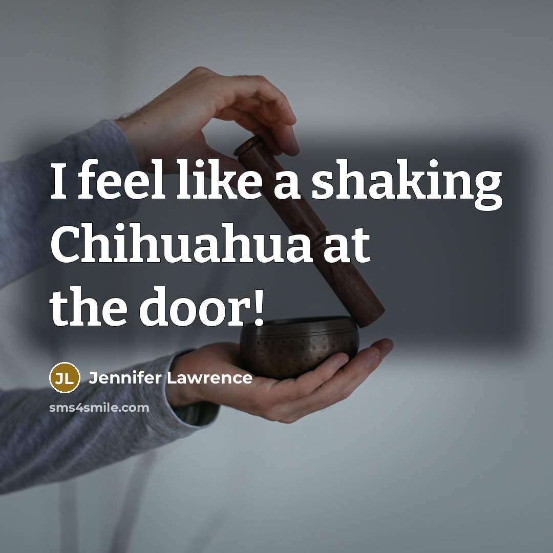 “I feel like a shaking Chihuahua at the door!…” quote by Jennifer Lawrence