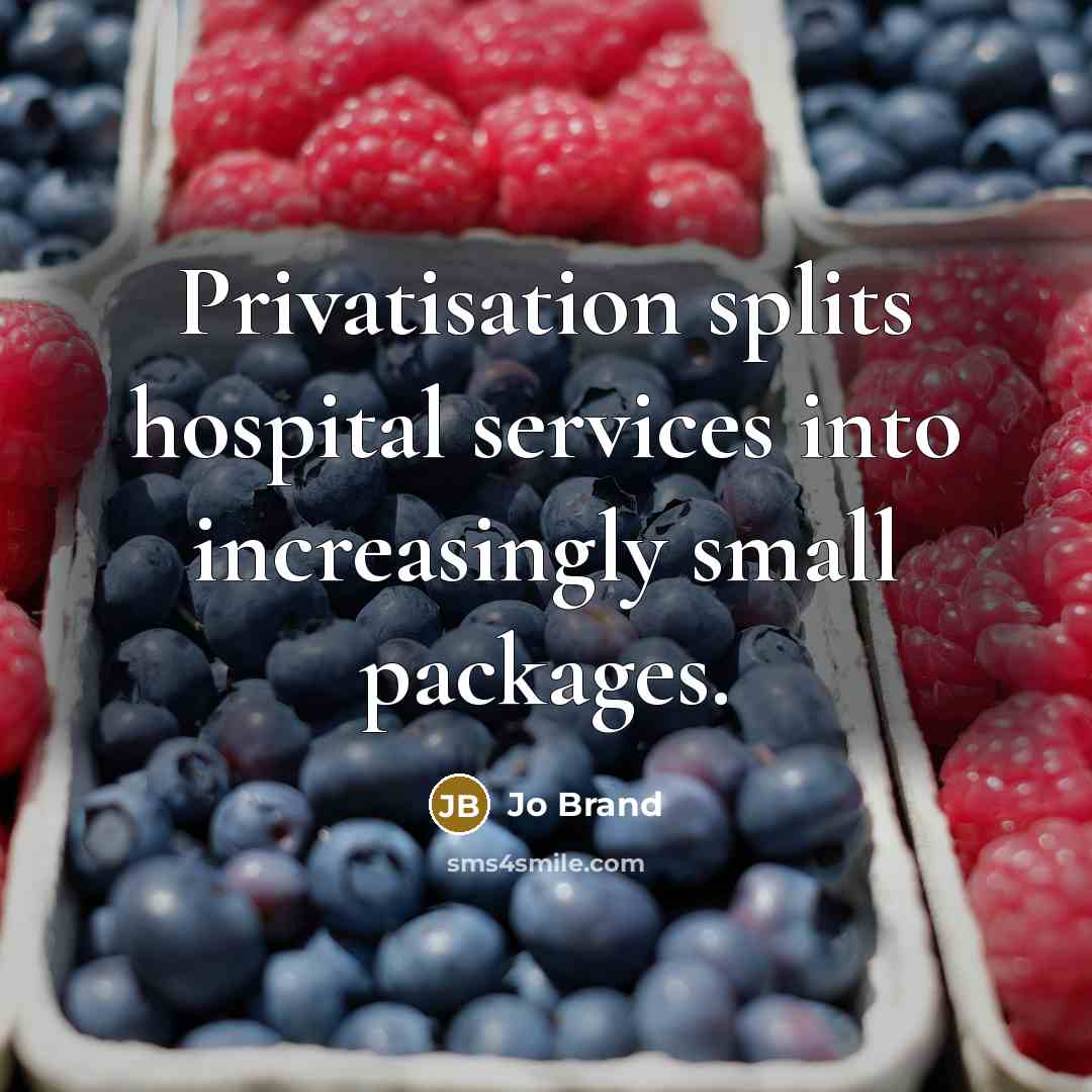 “Privatisation splits hospital services into increasingly small packages.” quote by Jo Brand