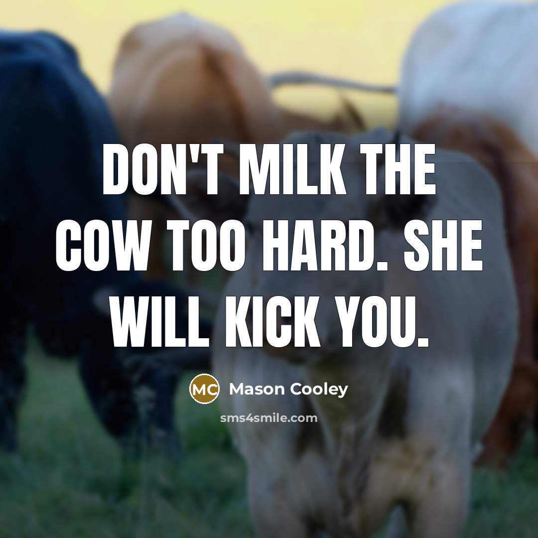 “Don't milk the cow too hard. She will kick you.…” quote by Mason Cooley