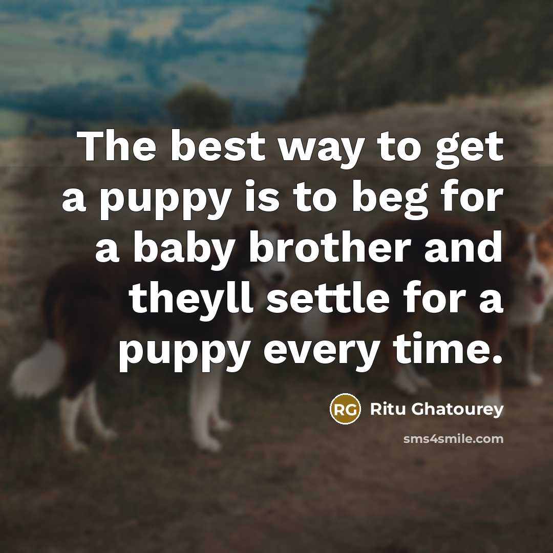 “The best way to get a puppy is to beg…” quote by Ritu Ghatourey