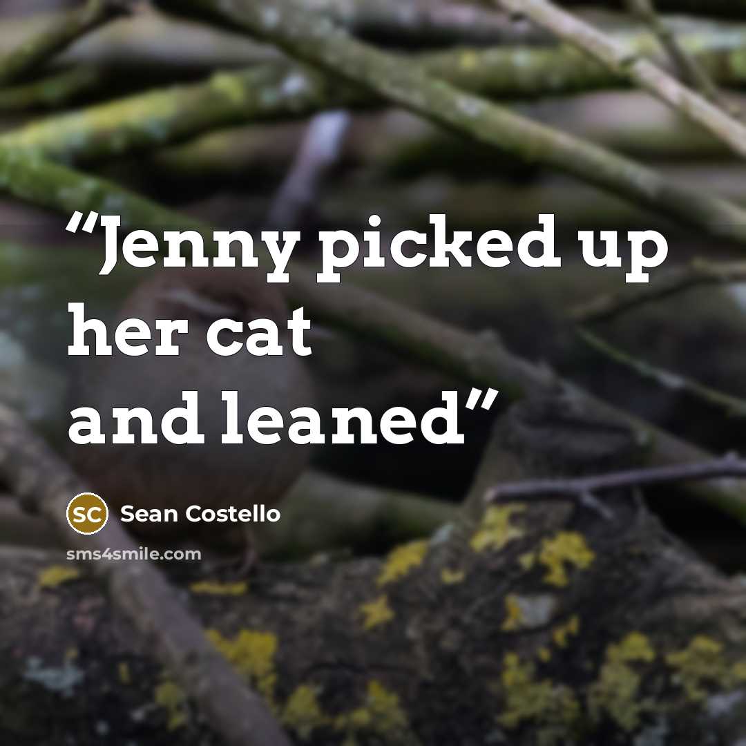 “Jenny picked up her cat and leaned” quote by Sean Costello