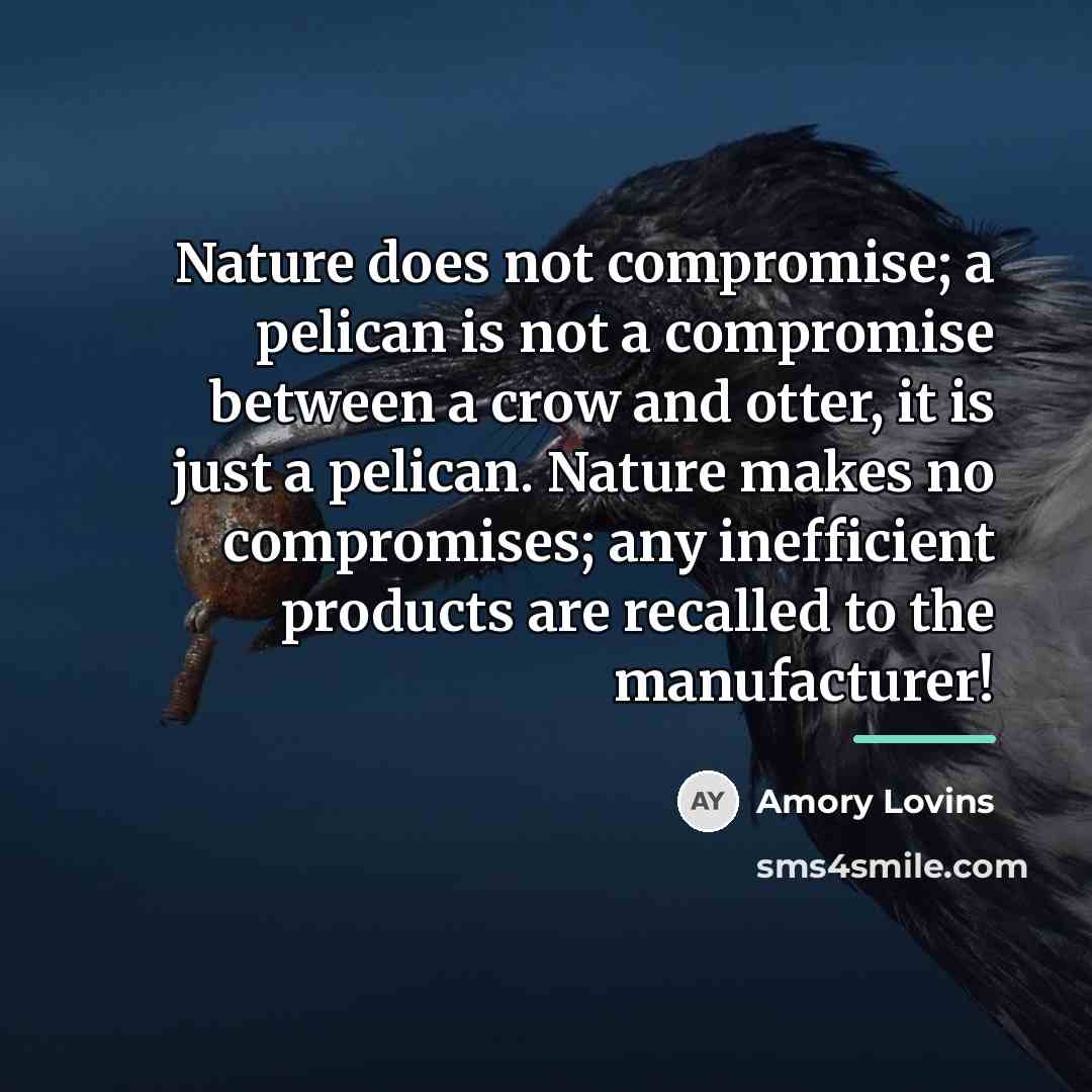 “Nature does not compromise; a pelican is not a compromise…” quote by Amory Lovins