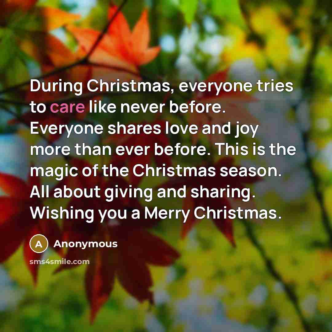 “During Christmas, everyone tries to care like never before. Everyone…” quote by Anonymous