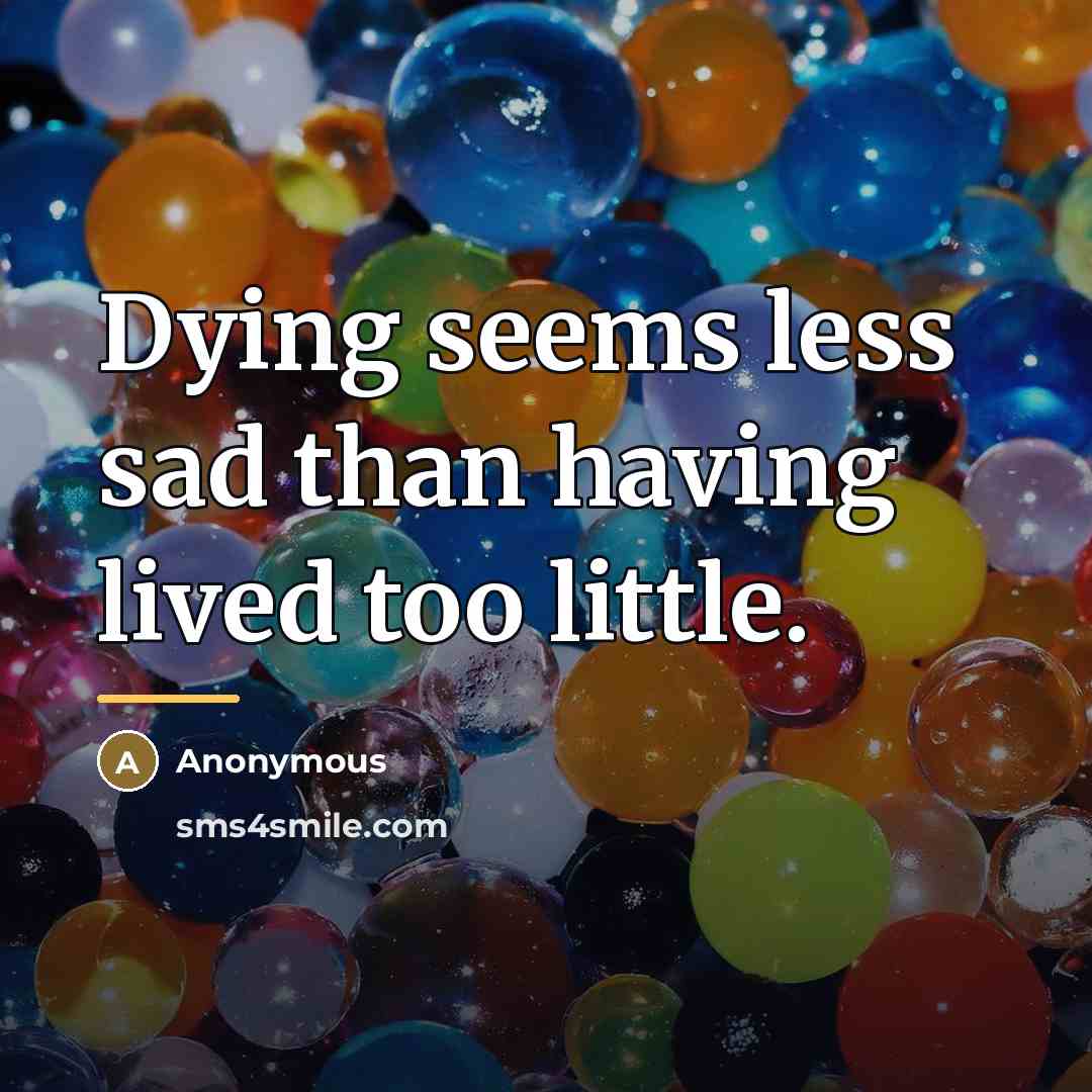 “Dying seems less sad than having lived too little.…” quote by Anonymous