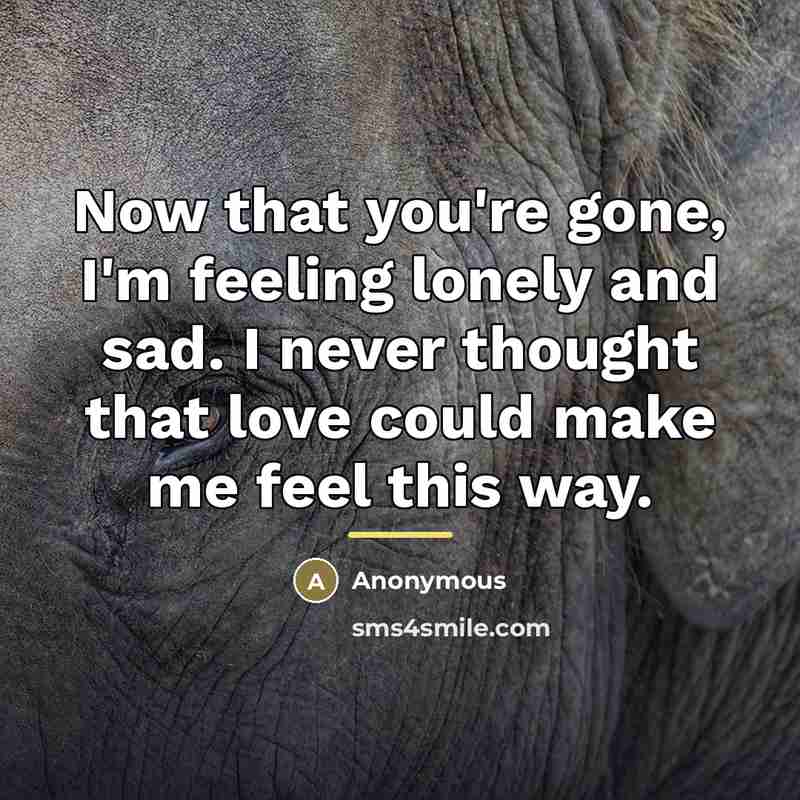 “Now that you're gone, I'm feeling lonely and sad. I…” quote by Anonymous