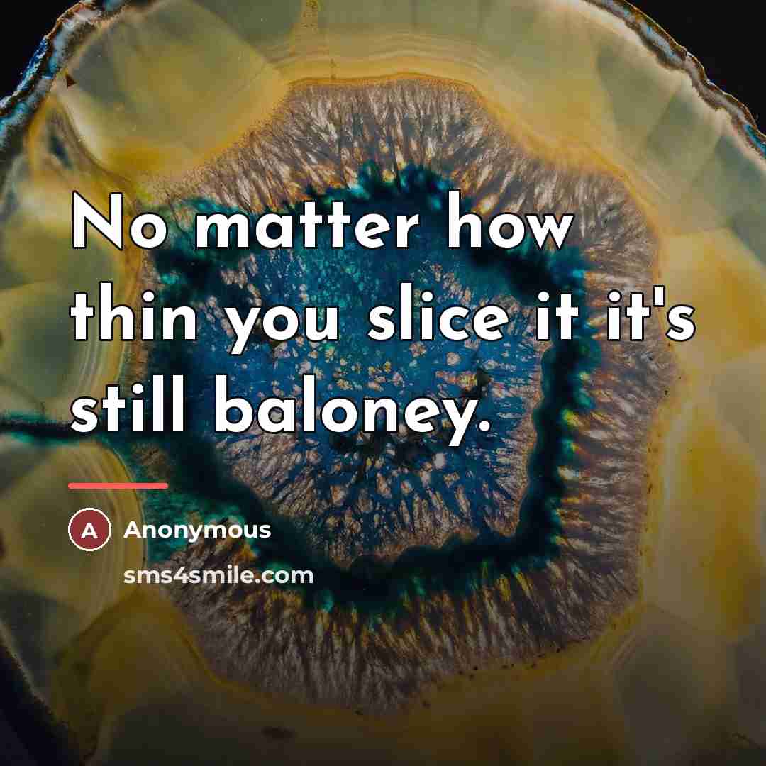 “No matter how thin you slice it it's still baloney.…” quote by Anonymous