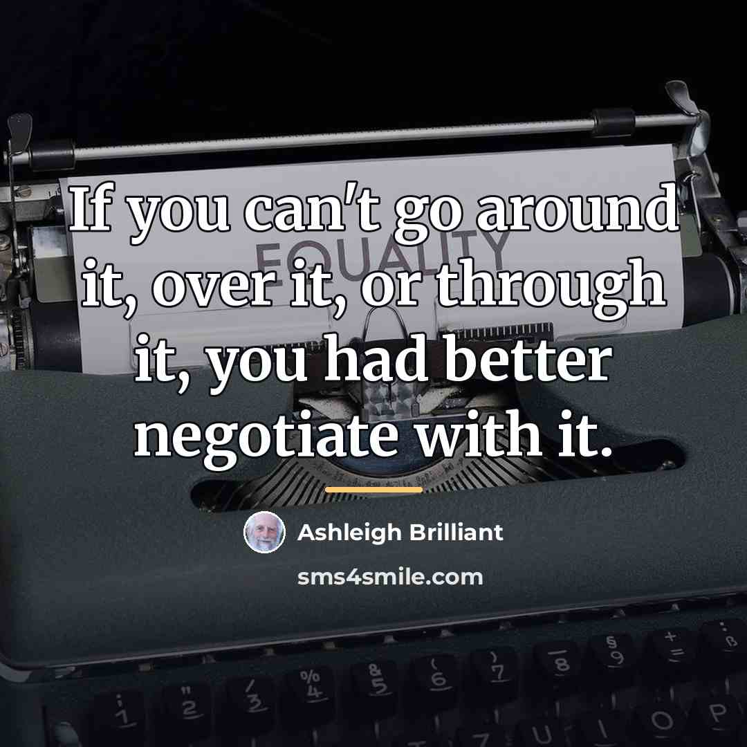“If you can't go around it, over it, or through…” quote by Ashleigh Brilliant
