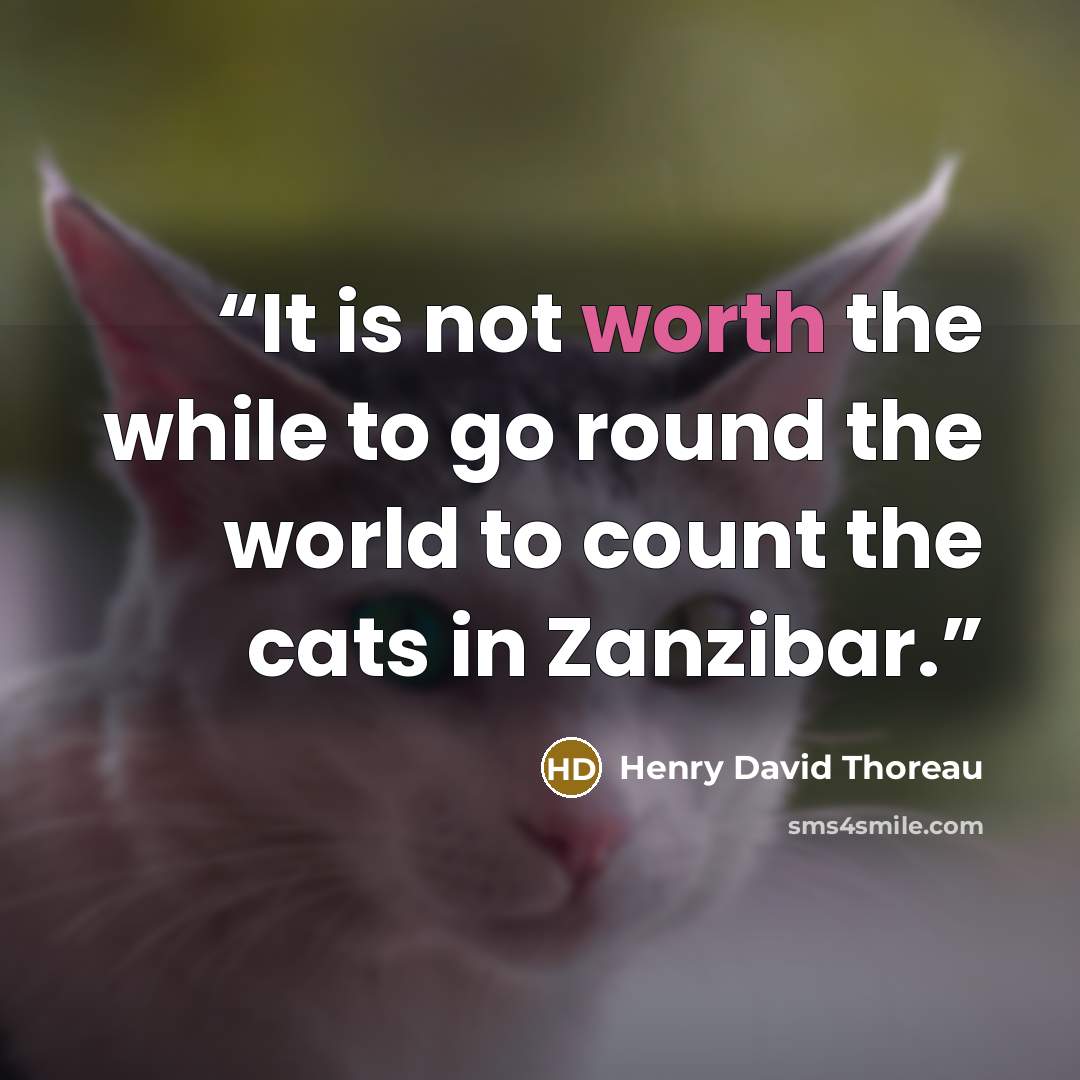 “It is not worth the while to go round the world to count the cats in Zanzibar.” quote by Henry David Thoreau