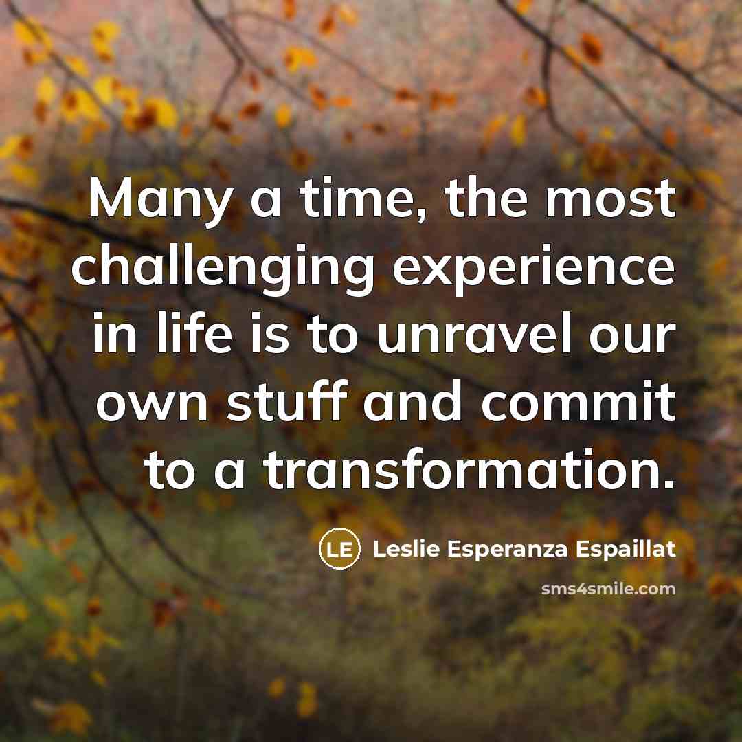 “Many a time, the most challenging experience in life is…” quote by Leslie Esperanza Espaillat