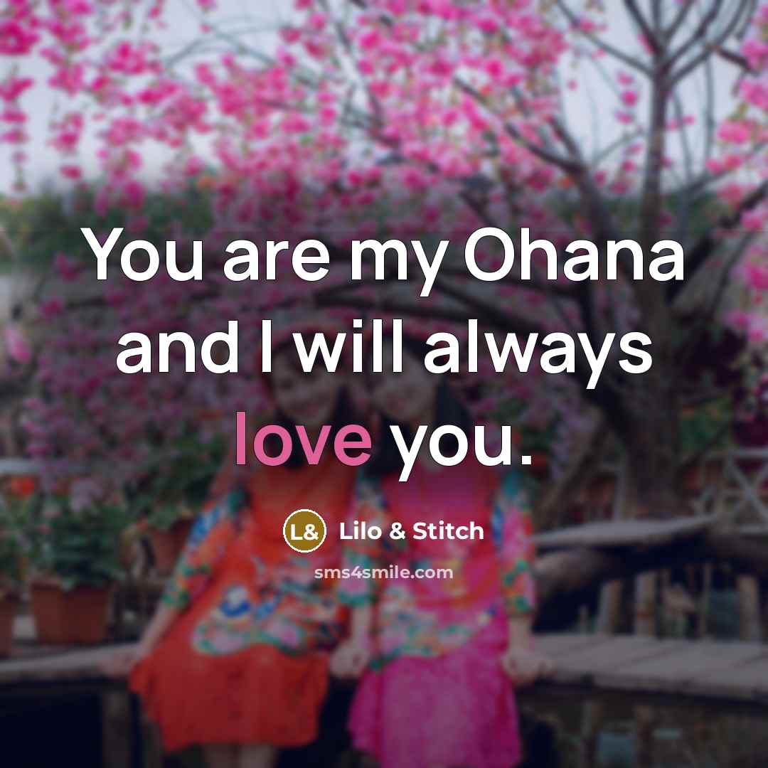 “You are my Ohana and I will always love you.…” quote by Lilo & Stitch