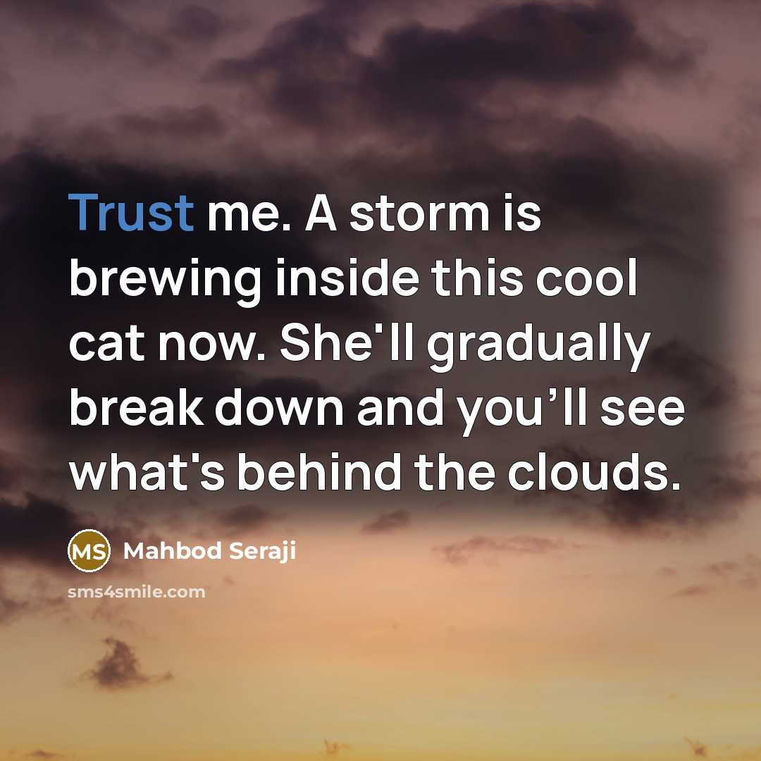 “Trust me. A storm is brewing inside this cool cat…” quote by Mahbod Seraji