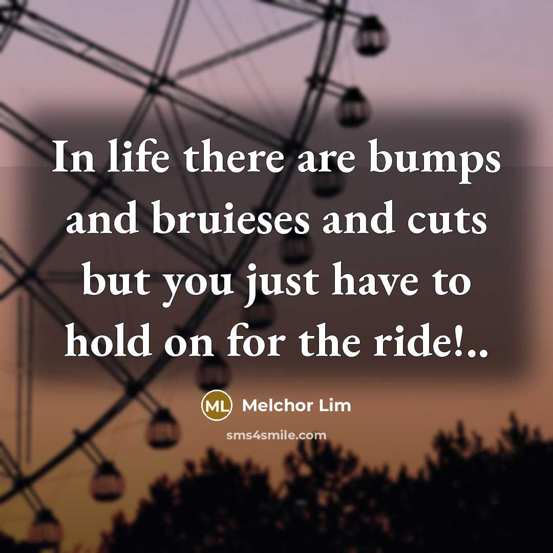 “In life there are bumps and bruieses and cuts but…” quote by Melchor Lim