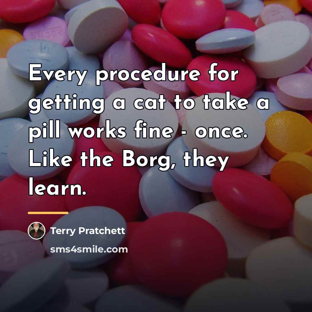 “Every procedure for getting a cat to take a pill…” quote by Terry Pratchett