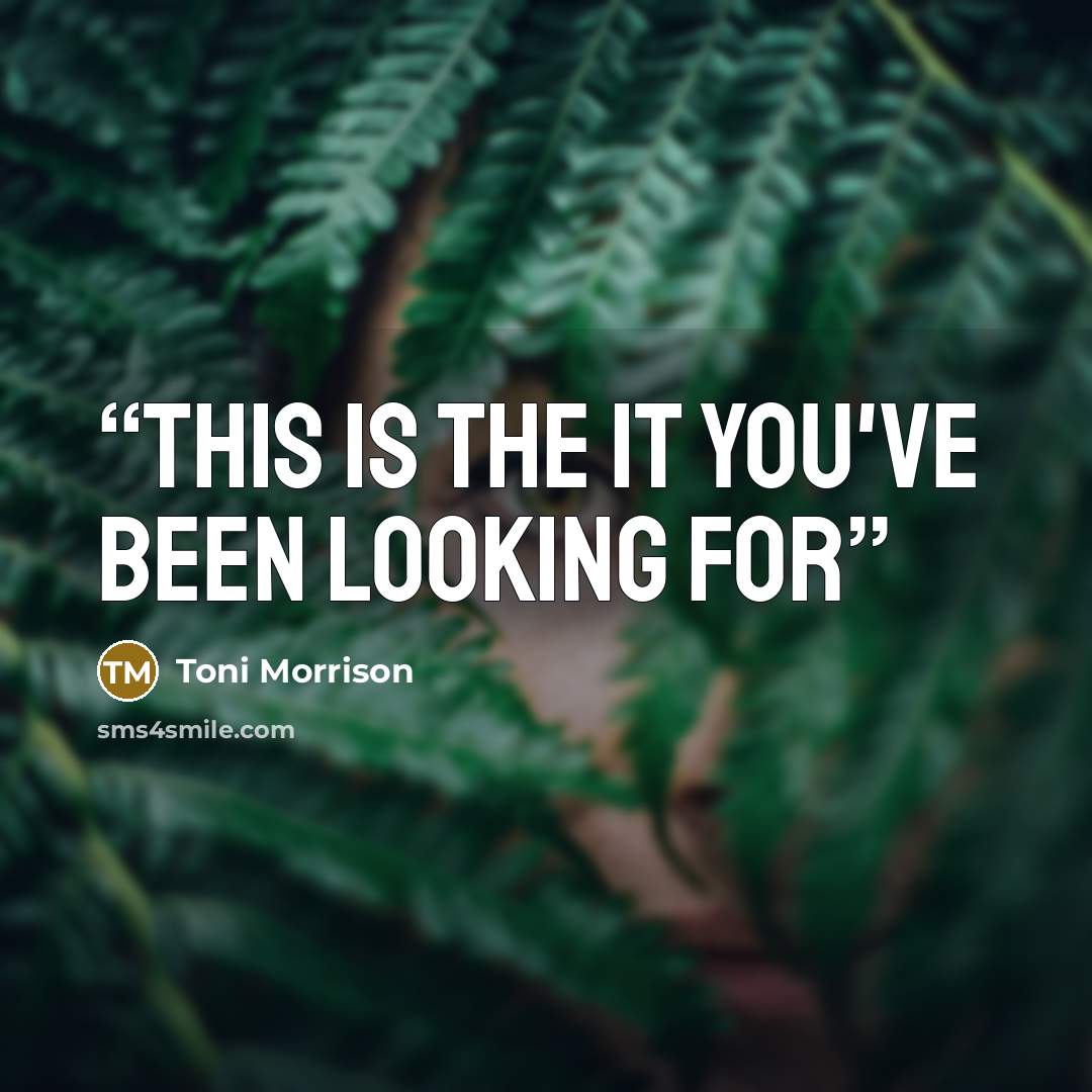 “this is the it you've been looking for” quote by Toni Morrison