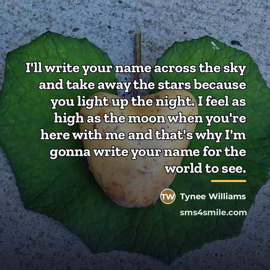 “I'll write your name across the sky and take away…” quote by Tynee Williams