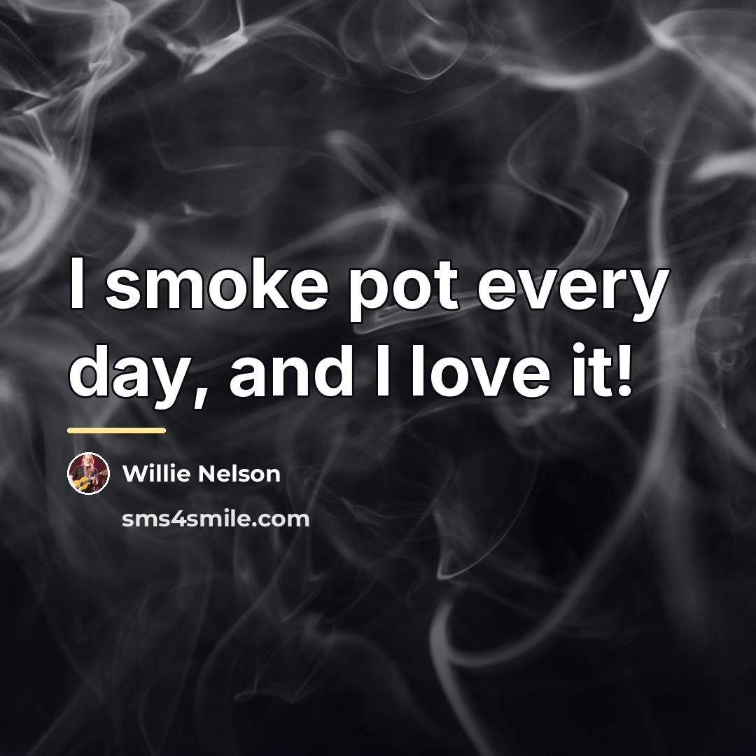 “I smoke pot every day, and I love it!…” quote by Willie Nelson