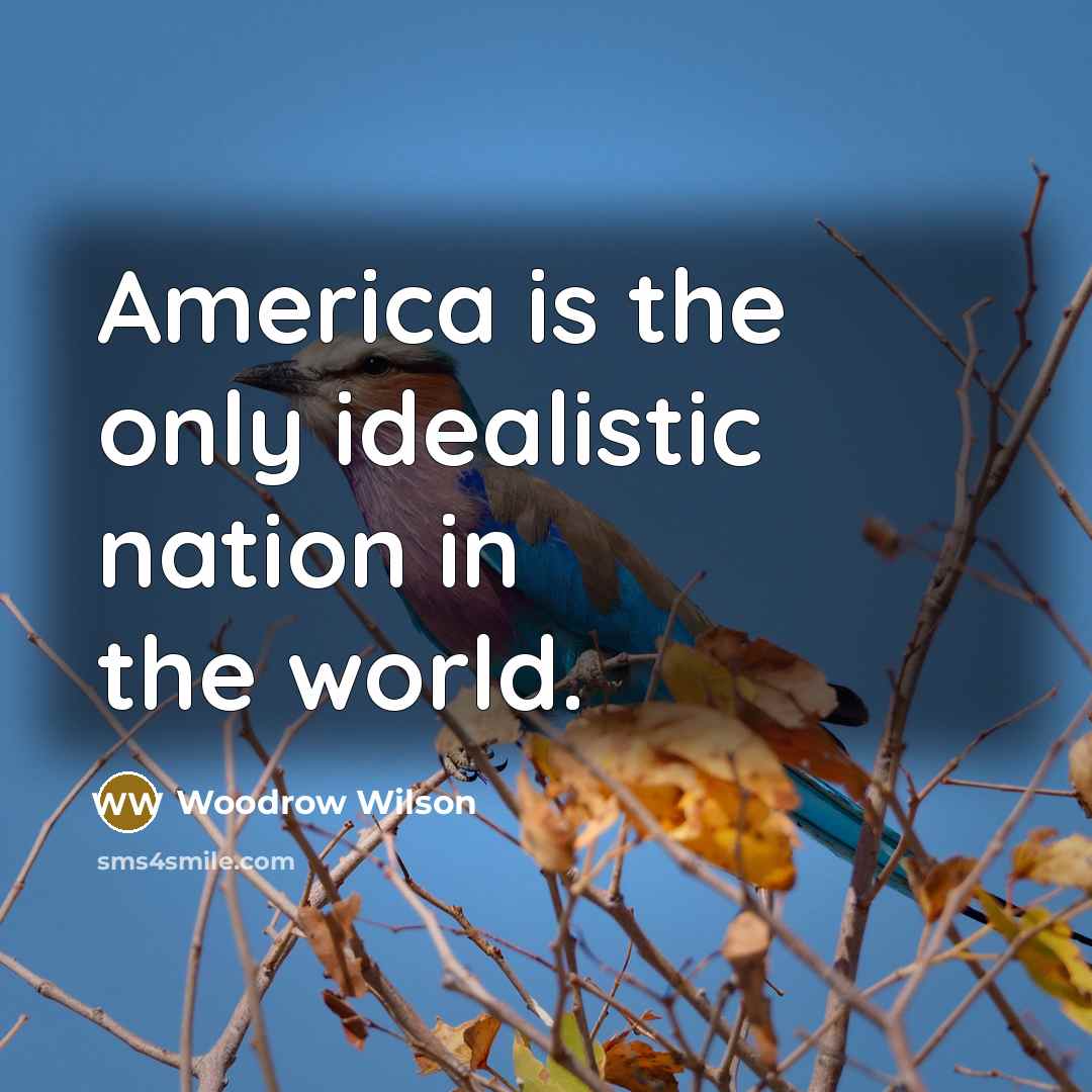 “America is the only idealistic nation in the world.…” quote by Woodrow Wilson