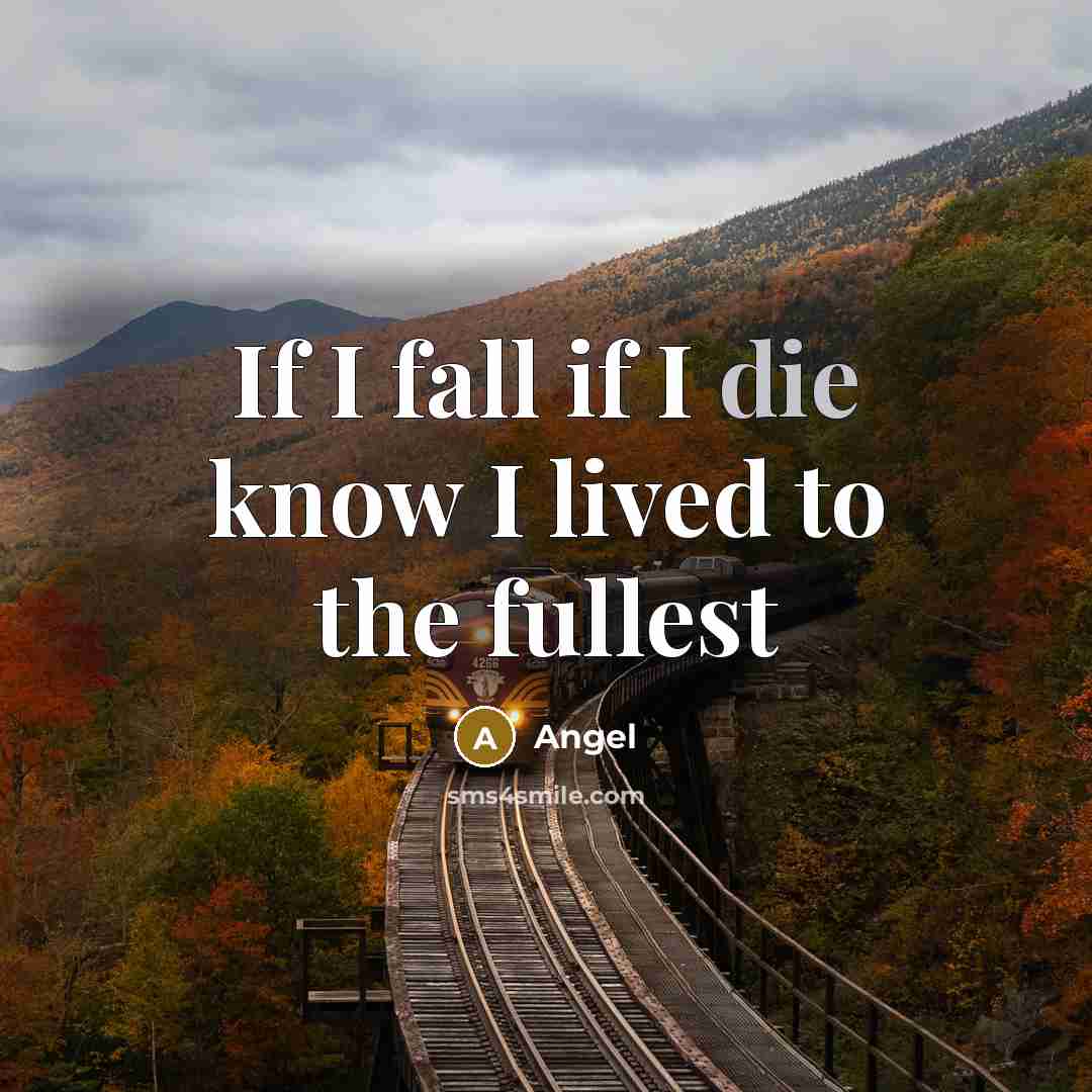 “If I fall if I die know I lived to…” quote by Angel