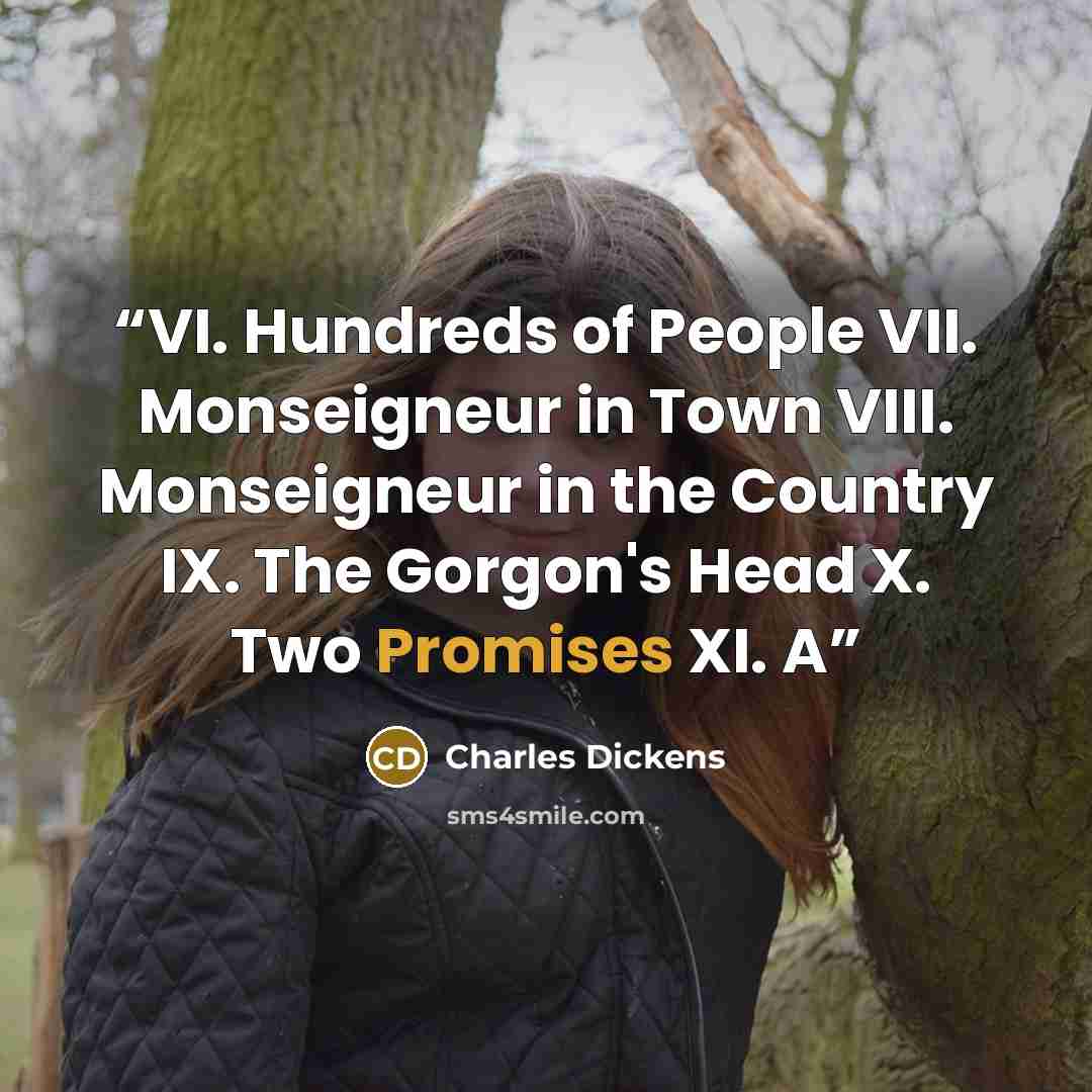 “VI. Hundreds of People VII. Monseigneur in Town VIII. Monseigneur in the Country IX. The Gorgon's Head X. Two Promises XI. A” quote by Charles Dickens