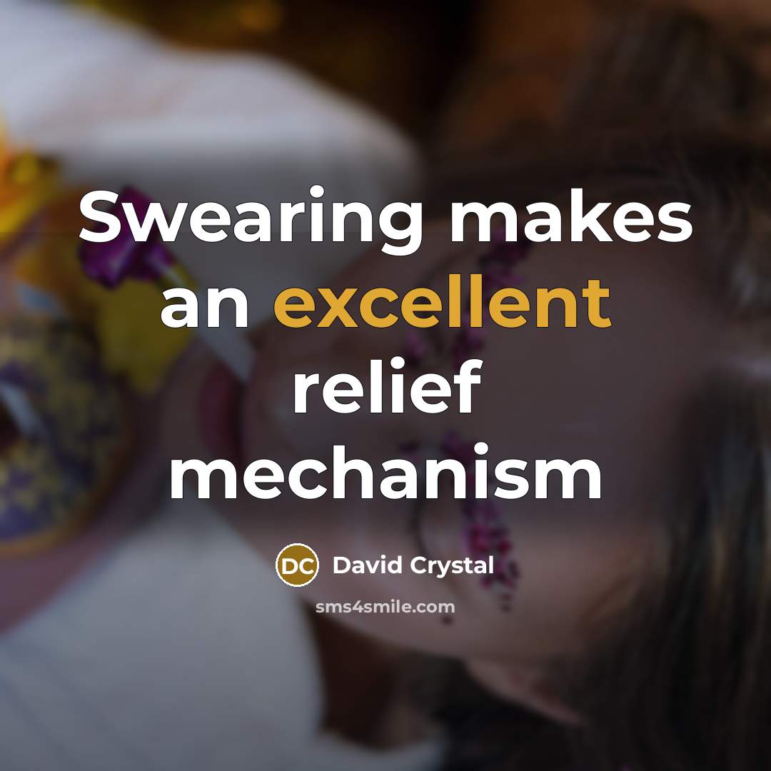 “Swearing makes an excellent relief mechanism…” quote by David Crystal