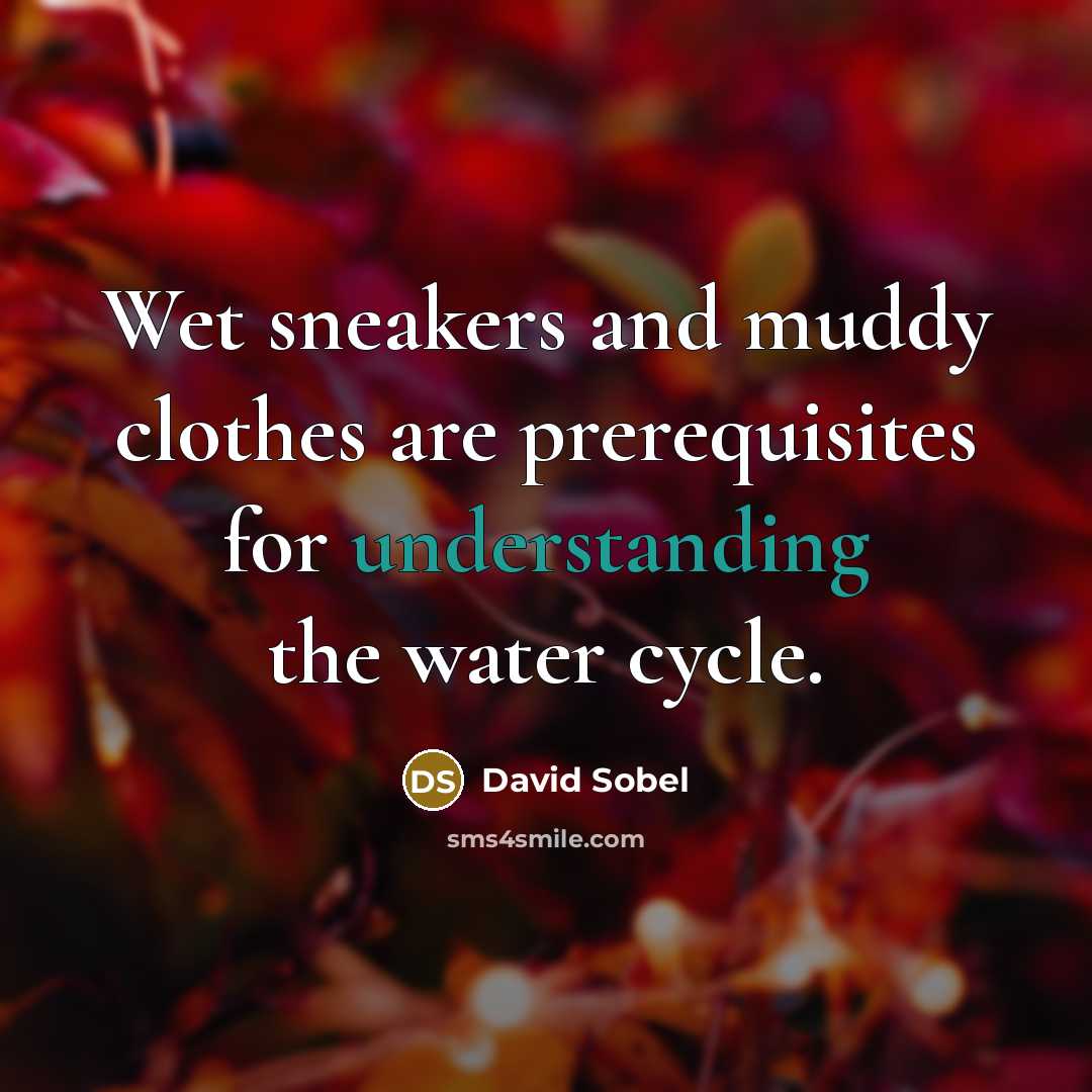 “Wet sneakers and muddy clothes are prerequisites for understanding the…” quote by David Sobel