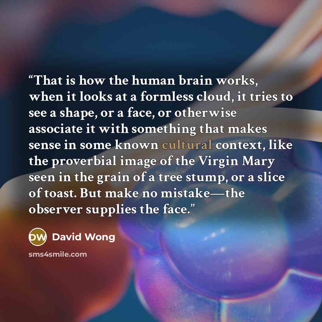 “That is how the human brain works, when it looks at a formless cloud, it tries to see a shape, or a face, or otherwise associate it with something that makes sense in some known cultural context, like the proverbial image of the Virgin Mary seen in the grain of a tree stump, or a slice of toast…” quote by David Wong
