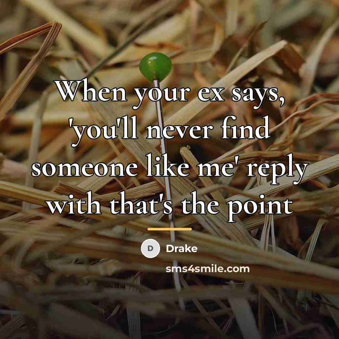 “When your ex says, 'you'll never find someone like me'…” quote by Drake