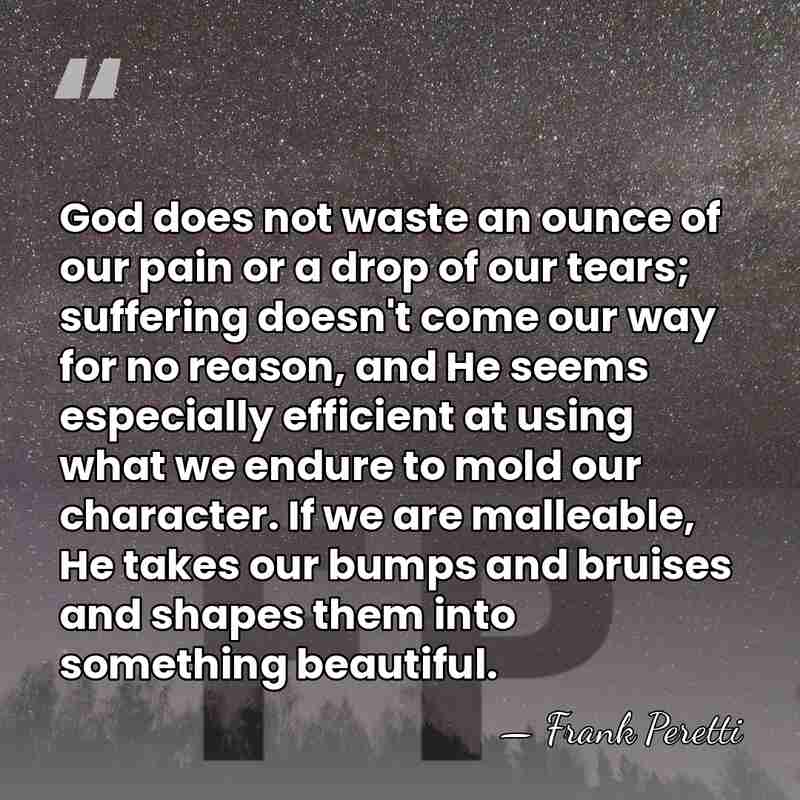 God does not waste an ounce of our pain or a drop&hellip; - Frank Peretti