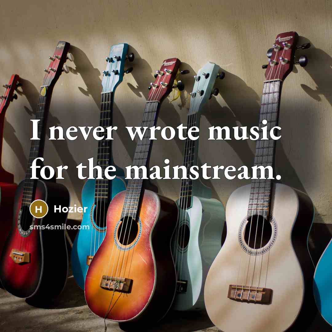 “I never wrote music for the mainstream.…” quote by Hozier