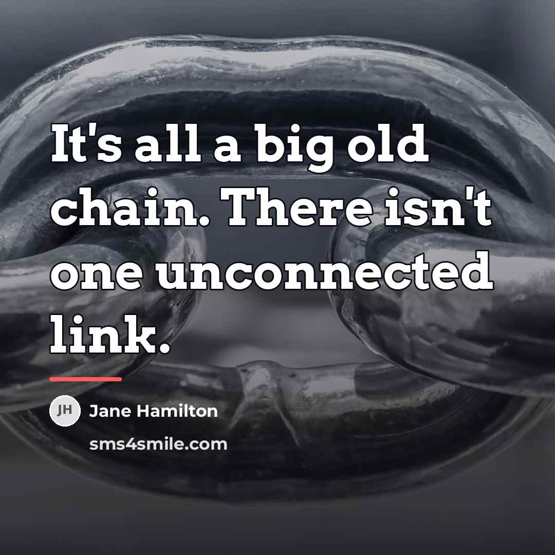 “It's all a big old chain. There isn't one unconnected…” quote by Jane Hamilton