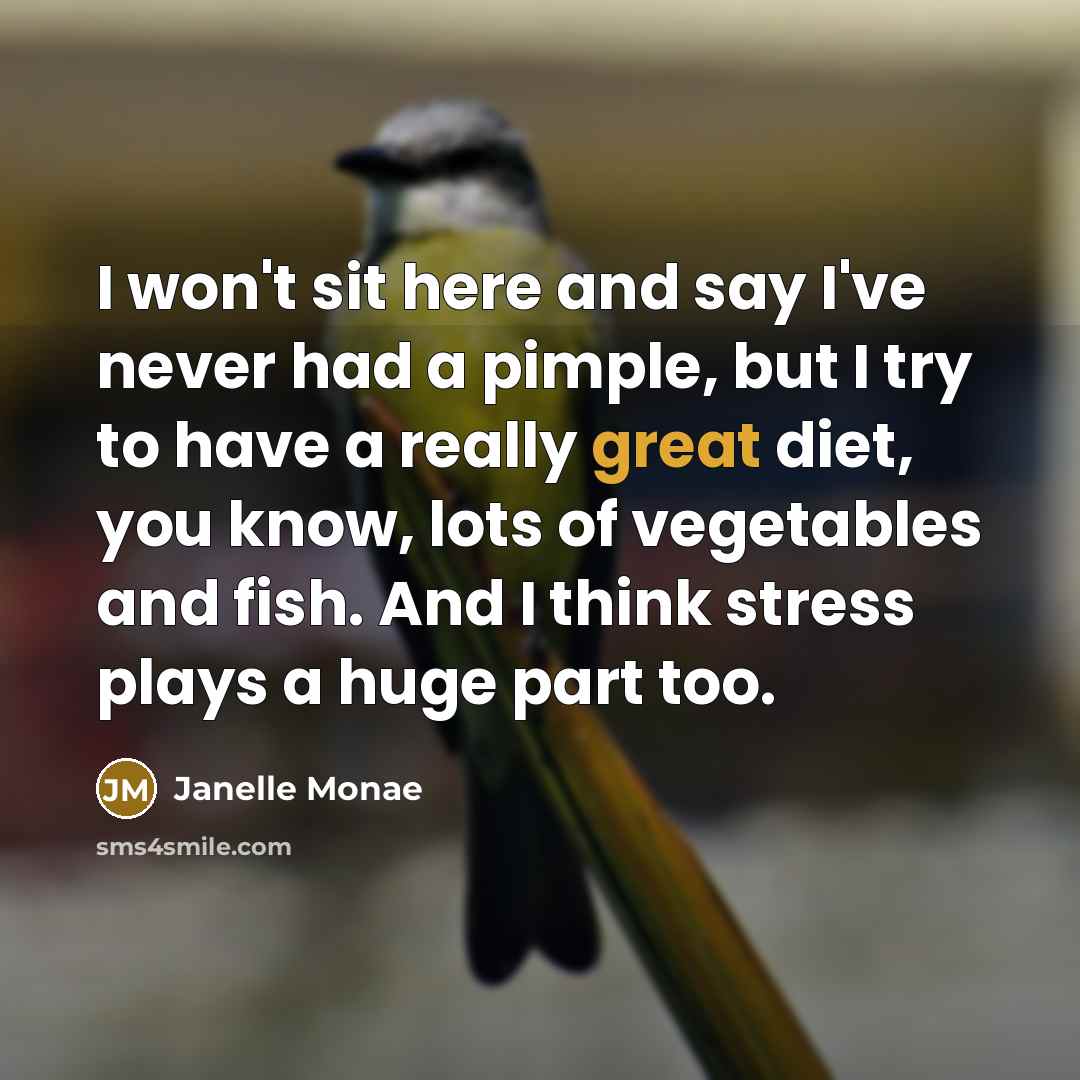 “I won't sit here and say I've never had a…” quote by Janelle Monae