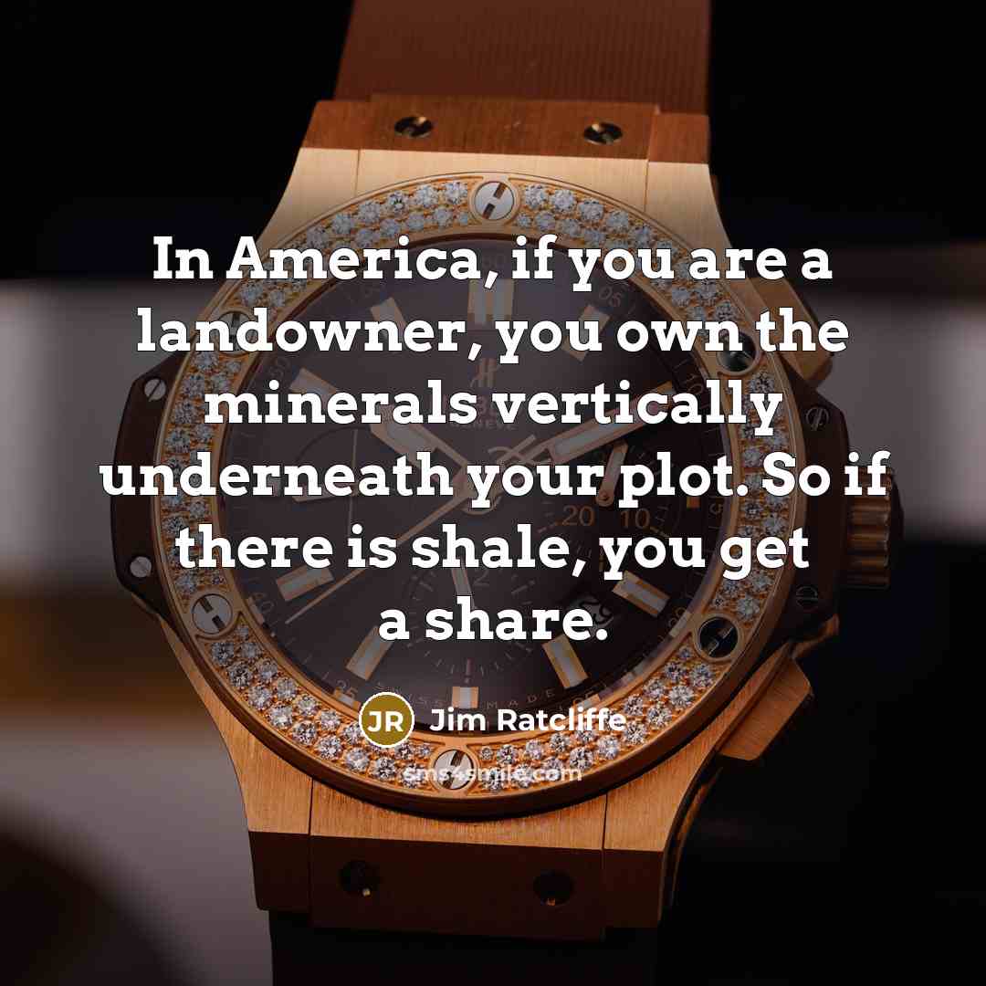 “In America, if you are a landowner, you own the…” quote by Jim Ratcliffe
