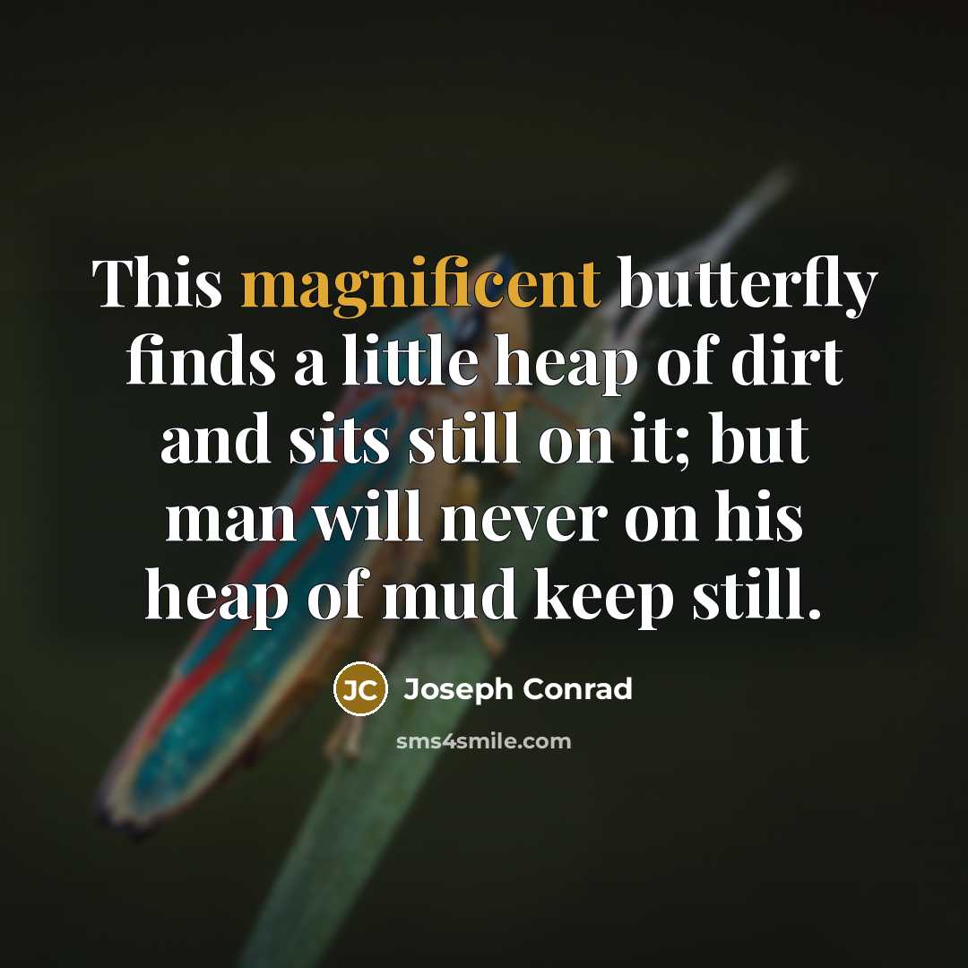 “This magnificent butterfly finds a little heap of dirt and…” quote by Joseph Conrad