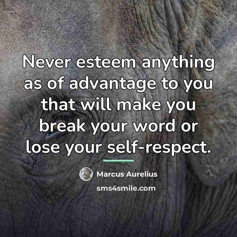“Never esteem anything as of advantage to you that will…” quote by Marcus Aurelius