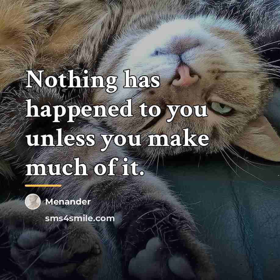 “Nothing has happened to you unless you make much of…” quote by Menander