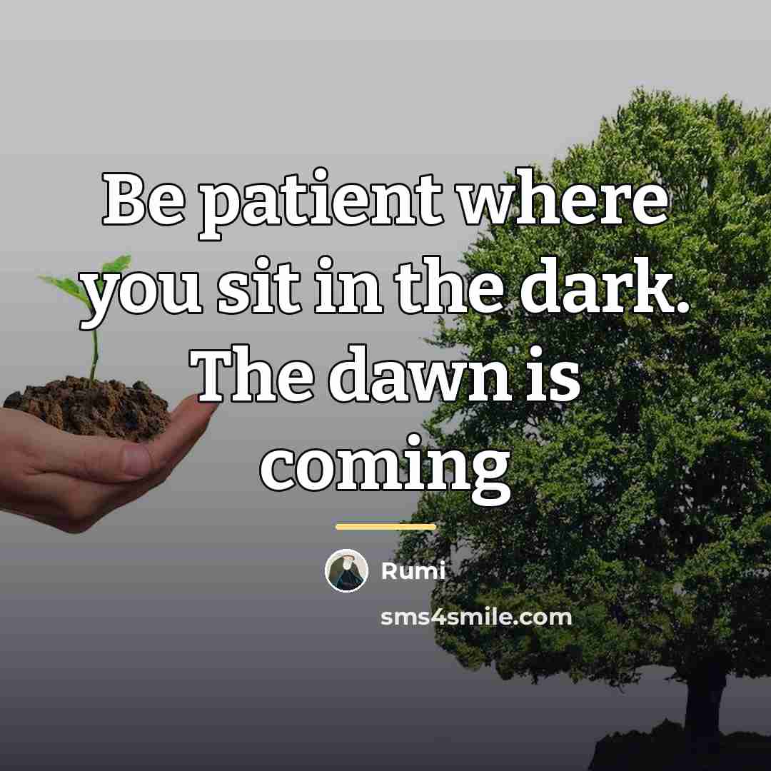 “Be patient where you sit in the dark. The dawn…” quote by Rumi