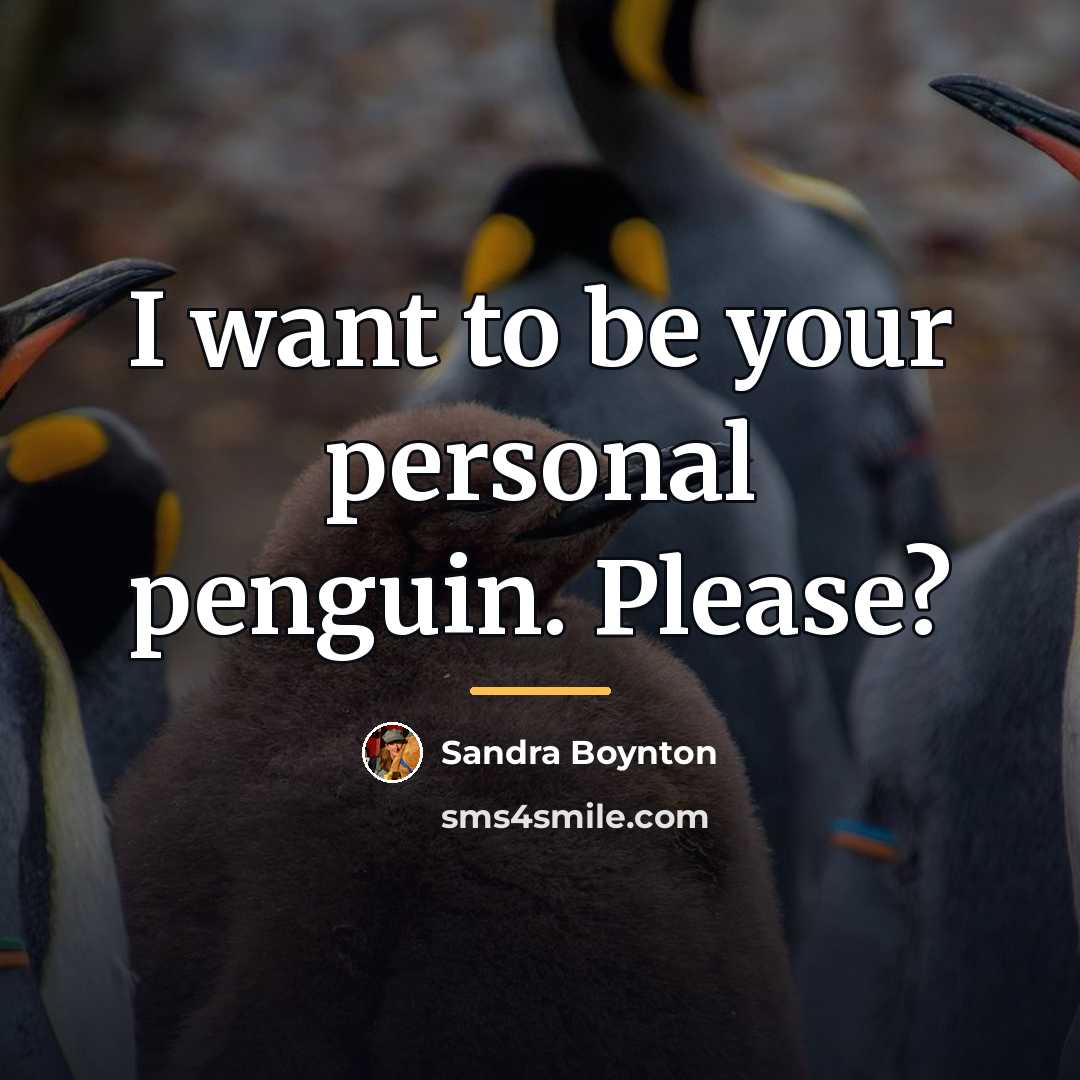 “I want to be your personal penguin. Please?…” quote by Sandra Boynton
