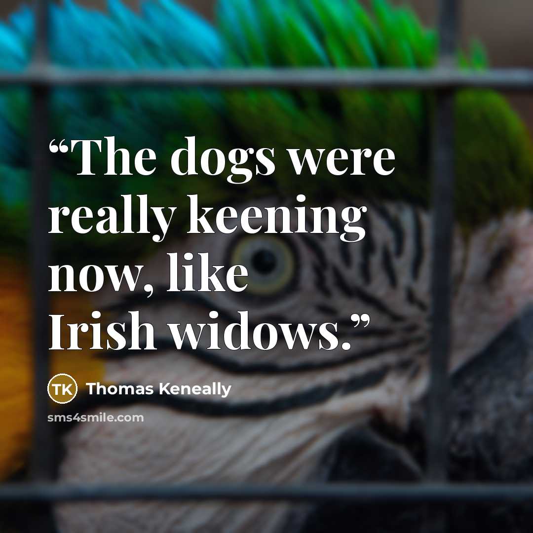 “The dogs were really keening now, like Irish widows.” quote by Thomas Keneally
