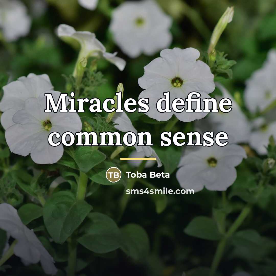“Miracles define common sense…” quote by Toba Beta