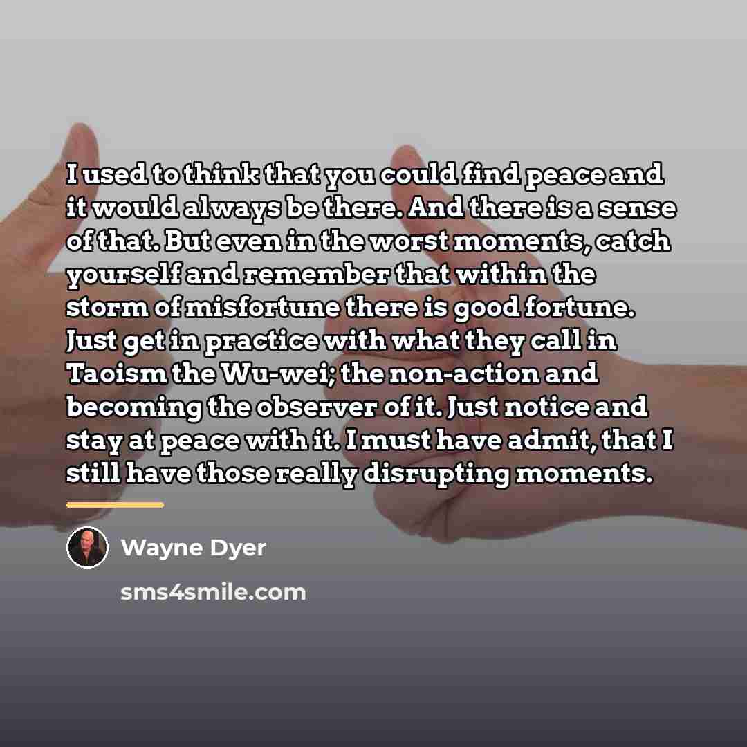 “I used to think that you could find peace and…” quote by Wayne Dyer